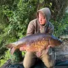 alfieashby1