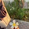 hs_2377
