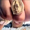 𝓙𝓱𝓸𝓷 𝓖𝓪𝓻𝔃𝓸𝓷 🐊