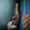 hyl.rizky