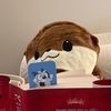 kknoodle16