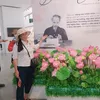 hoangmy1254