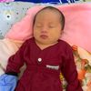 felaputridk