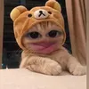 nhicail0