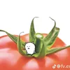thuphan240