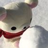 rabbidmallard