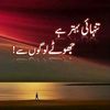 awara_log7070