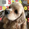 muuuuumin7