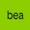 _vv.bea