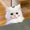 g.han6_5