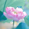 Nhuận Viên Hiếu