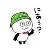 _sedre4521