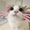 sgaigdisbdjs