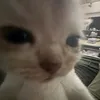 lil.julliet