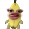 ultramennterbangg