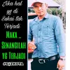 skofenalhady