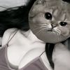 t_jenjira