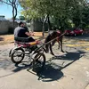 fredneves8