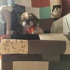 chloe12247809