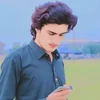 shebigull804