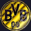 bvbfrank.e