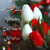 umhamedayman
