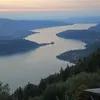 benji_mt60