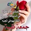 user047196379asln