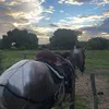 igorsm_073