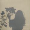 iif_3ii