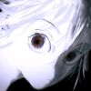 zell1vx