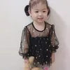 phuong0309185