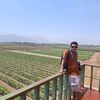 teran_la_s