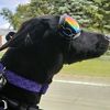 grizzlyadamz78
