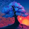 anonym_user25