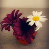 fm123_1