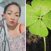 josianetsilva