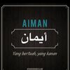 aimansani04
