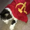 danielthetankist