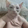 je.suis.pas_monocouille