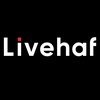 livehaf.official