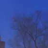 skyfiver