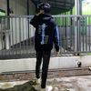massbill_