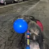 saddamhuss91