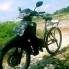 amier694