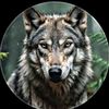 papu_khokhar526