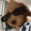 _oliwka_ale_3848