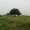riyaz.ahmed644