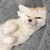 seraora