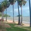 user963316703